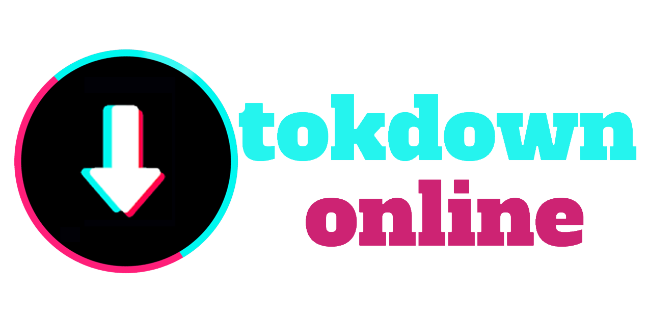 tiktok downloader